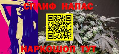 СК Будённовск