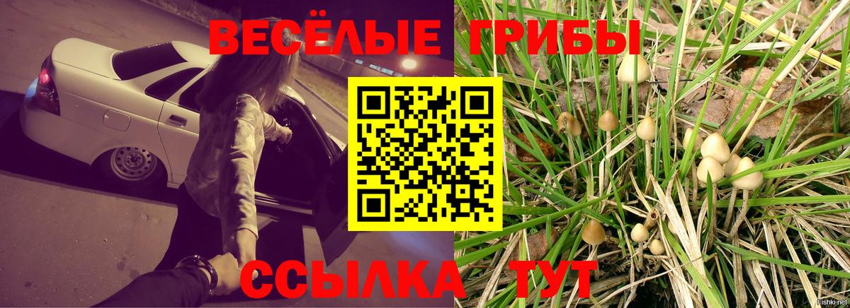 Галлюциногенные грибы прущие грибы Менделеевск