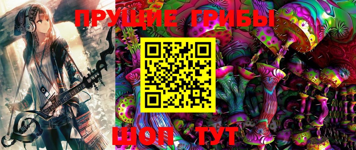 Менделеевск  Галлюциногенные грибы Psilocybe  Вход с VPN  Псилоцибиновые грибы GOLDEN TEACHER 